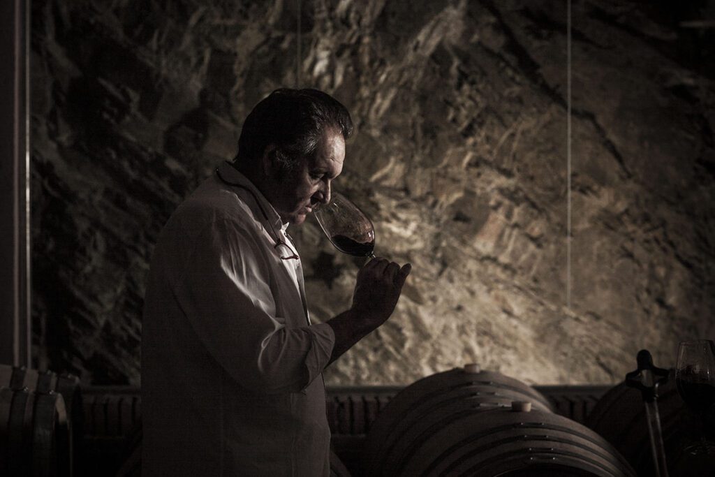 Cata Vino Tinto Vineamagna