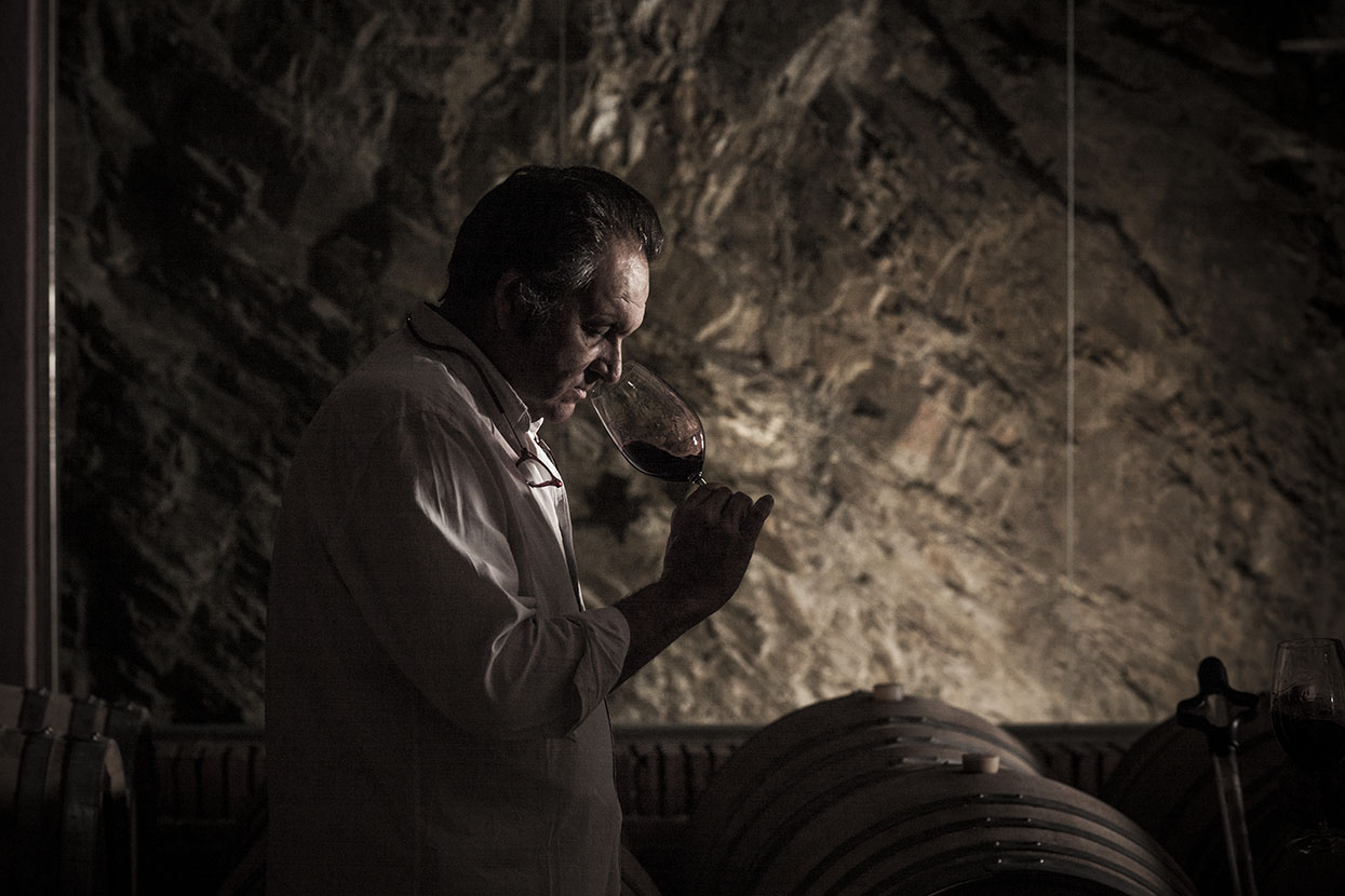 Cata Vino Tinto Vineamagna